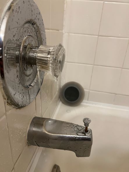 Bathtub Single Handle faucet leaking