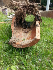 Mainline Sewer excavation repair Broken main line clay pipe from tree root intrusion