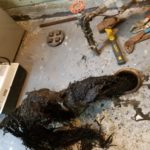 Main Sewer Line Tree Roots Clogged Pipe