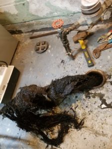 Main Sewer Line Tree Roots Clogged Pipe