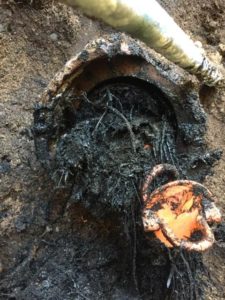 Mainline Sewer excavation repair Tree roots in plumbing system clay pipe