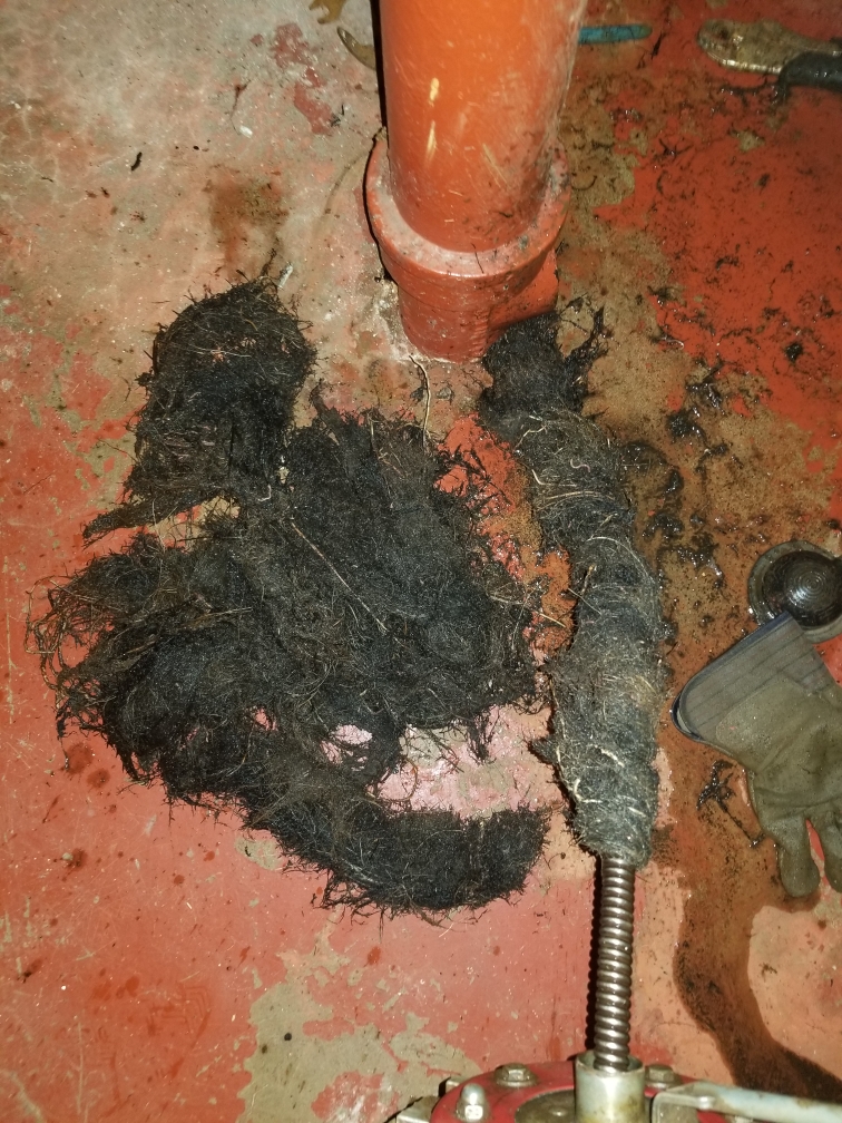 Drain Cleaning clogged drains Main line tree roots